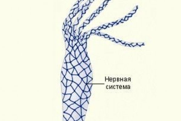 Заказать посылку с даркнета