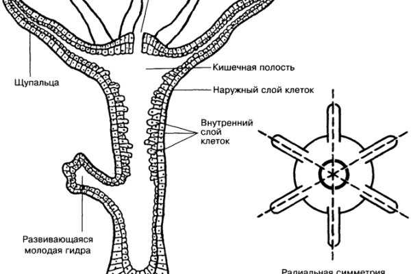 Зеркала крамп