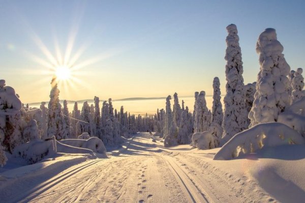 Как закинуть фото на блэкспрут